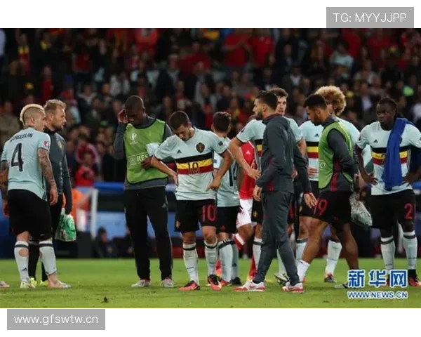 威尔士2016欧锦赛奇迹：历史性闯入四强展现竞争力